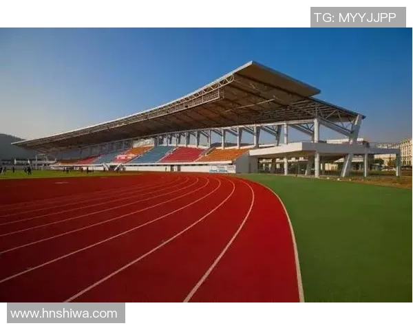 成都网球队的阵地战分析与未来发展展望